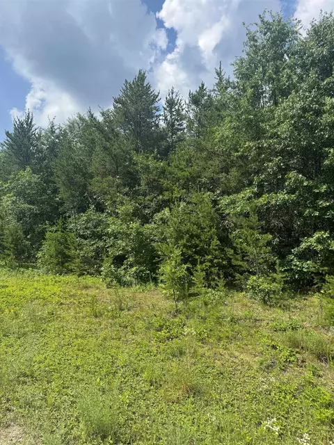 lot34 Red Tail Hawk Dr, Stevens Point, WI 54482
