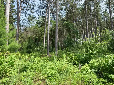 lot6 Two Sisters Ct, Stevens Point, WI 54482 photo 5