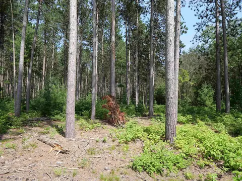 lot6 Two Sisters Ct, Stevens Point, WI 54482 photo 6