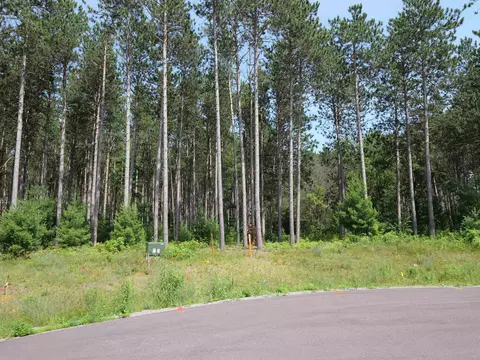 lot6 Two Sisters Ct, Stevens Point, WI 54482 photo 7
