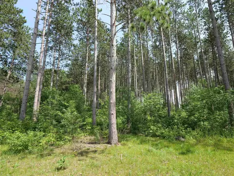lot6 Two Sisters Ct, Stevens Point, WI 54482 photo 4