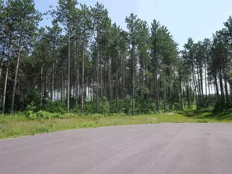 lot6 Two Sisters Ct, Stevens Point, WI 54482 photo 8