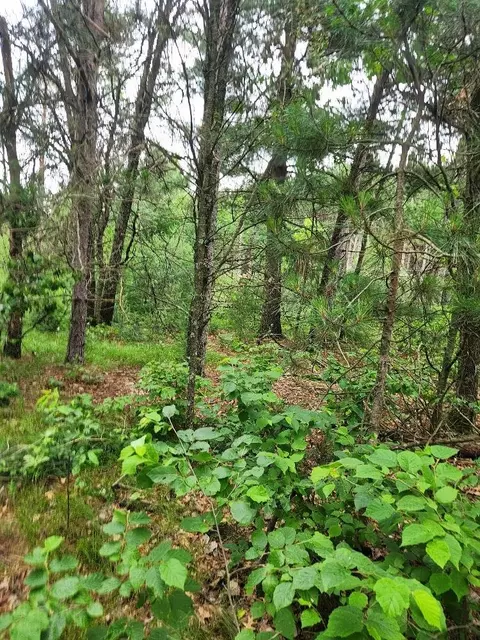 w3190 4th Street East, Nekoosa, WI 54457