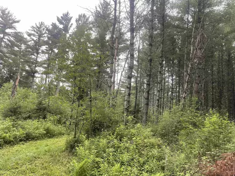 Behnke Road, Wausau, WI 54403