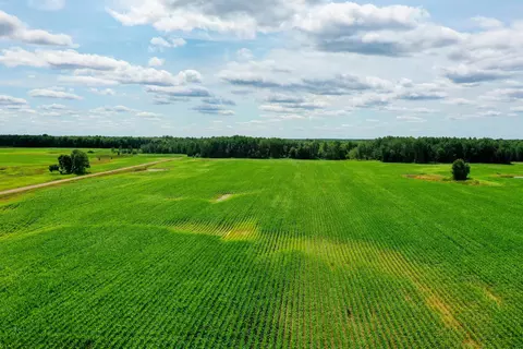 196 61 Acres Wiese Dr, Rib Lake, WI 54470