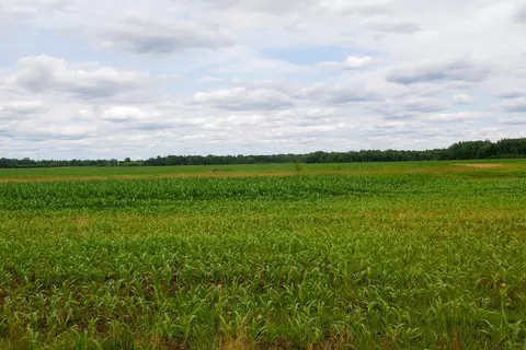 19 85 Acres Wiese Dr, Rib Lake, WI 54470