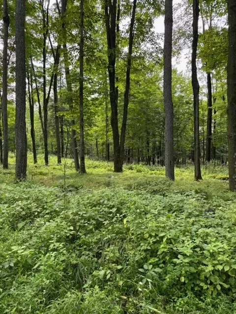 80 N Acres N Branch Rd, Wittenberg, WI 54499