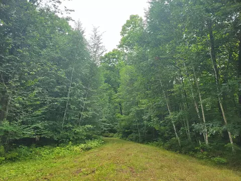 0 St Johns Ln, Crandon, WI 54520