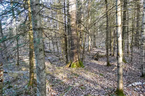 79 03 Acres Center Ave, Medford, WI 54451