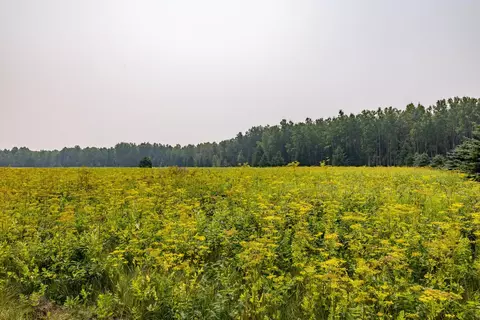 13 Acres Whitetail Ln, Tipler, WI 54542