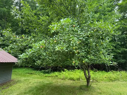 Exterior - w6845 Disappearing Creek Road, Phillips, WI 54555 photo 14 of 22