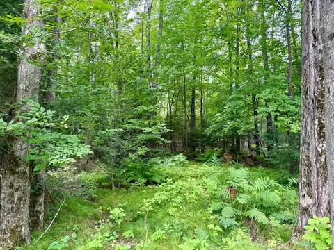 Exterior - w6845 Disappearing Creek Road, Phillips, WI 54555 photo 18 of 22