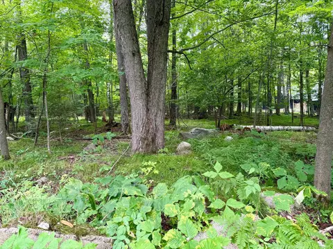 Exterior - w6845 Disappearing Creek Road, Phillips, WI 54555 photo 20 of 22