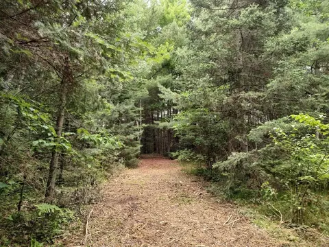 lot4 Misty River Ln, Rhinelander, WI 54501 photo 8