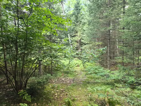 lot4 Misty River Ln, Rhinelander, WI 54501 photo 25