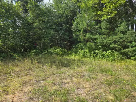 lot4 Misty River Ln, Rhinelander, WI 54501 photo 6