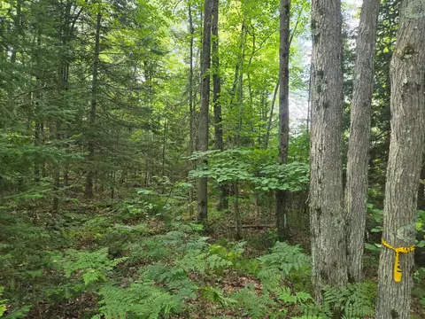 lot4 Misty River Ln, Rhinelander, WI 54501 photo 17