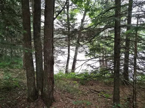 lot4 Misty River Ln, Rhinelander, WI 54501 photo 2