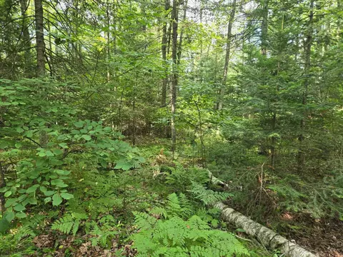 lot4 Misty River Ln, Rhinelander, WI 54501 photo 15