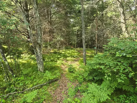 lot4 Misty River Ln, Rhinelander, WI 54501 photo 5