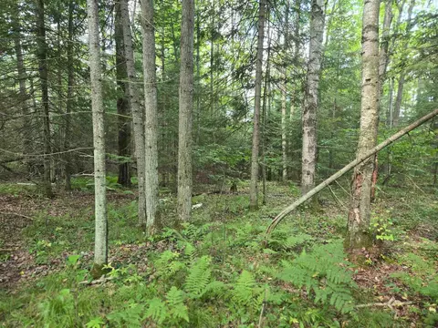 lot4 Misty River Ln, Rhinelander, WI 54501 photo 22
