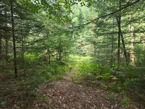 lot4 Misty River Ln, Rhinelander, WI 54501 photo 10