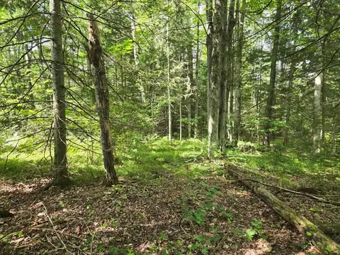 lot4 Misty River Ln, Rhinelander, WI 54501 photo 13