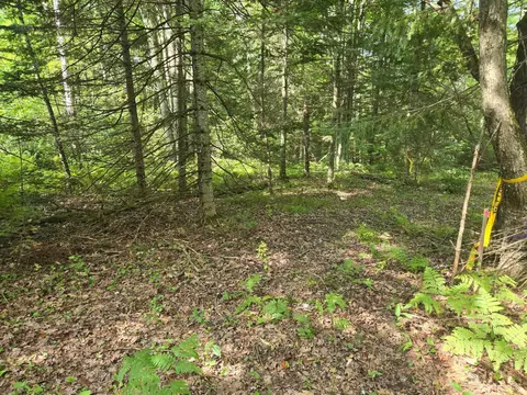 lot4 Misty River Ln, Rhinelander, WI 54501 photo 12