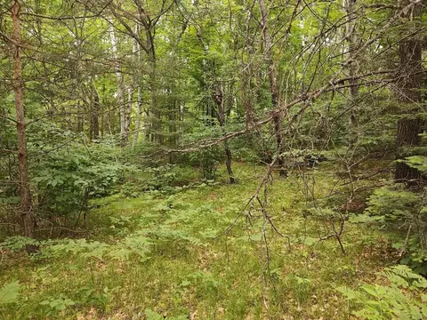 lot4 Misty River Ln, Rhinelander, WI 54501 photo 7
