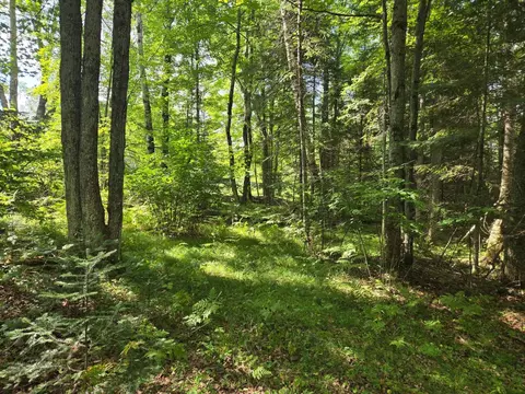 lot4 Misty River Ln, Rhinelander, WI 54501 photo 14
