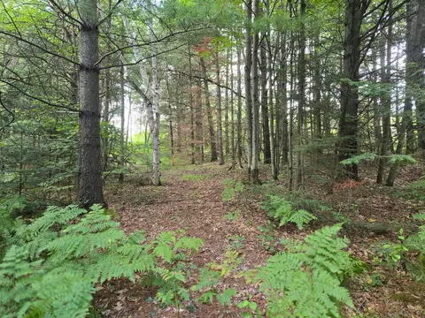 lot4 Misty River Ln, Rhinelander, WI 54501 photo 23