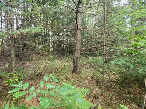 lot4 Misty River Ln, Rhinelander, WI 54501 photo 24