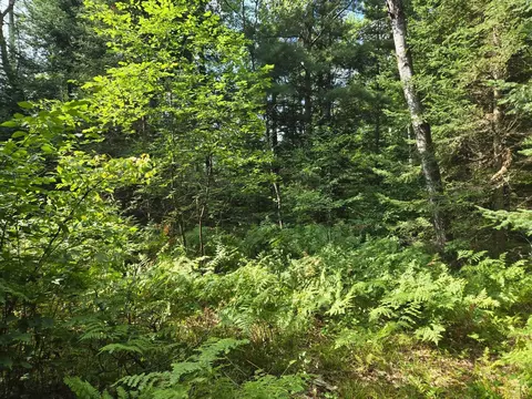 lot4 Misty River Ln, Rhinelander, WI 54501 photo 11