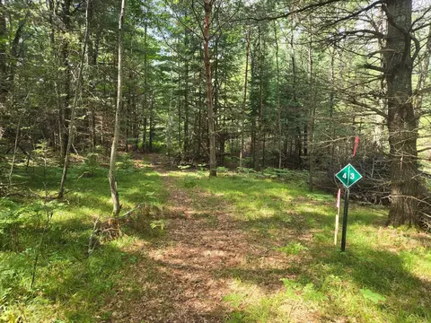 lot4 Misty River Ln, Rhinelander, WI 54501 photo 4