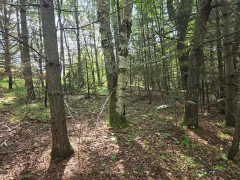 lot4 Misty River Ln, Rhinelander, WI 54501 photo 9