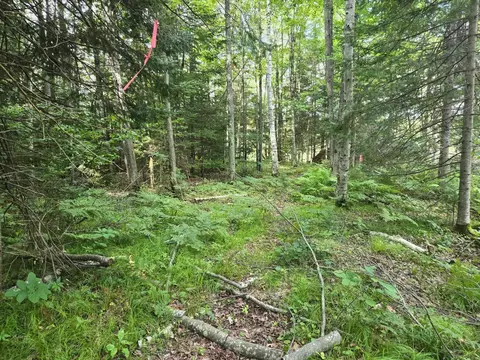 lot4 Misty River Ln, Rhinelander, WI 54501 photo 16