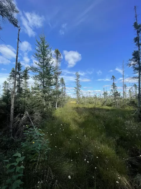 Swamp Road, Tomahawk, WI 54487