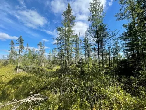 Swamp Road, Tomahawk, WI 54487
