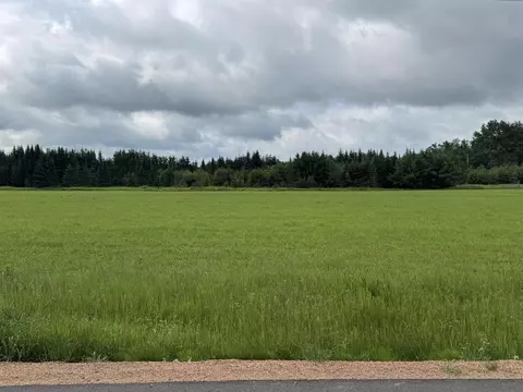 35 39 Acres Mission Lake Rd, Elderon, WI 54427