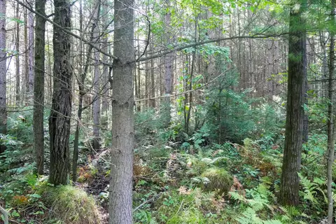 2 82 Acres Grassy Knoll Trl, Medford, WI 54451