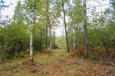 17 8 Acres Division Dr, Medford, WI 54451
