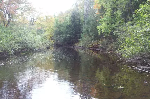 Wood Creek Avenue, Rib Lake, WI 54470