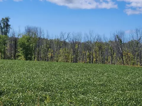 Irish Road, New Holstein, WI 53061
