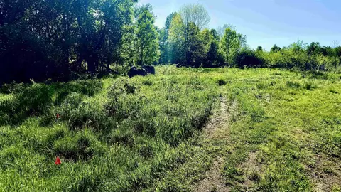 lot3 Eau Claire River Rd, Aniwa, WI 54408
