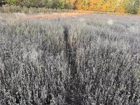 lot3 Eau Claire River Rd, Aniwa, WI 54408