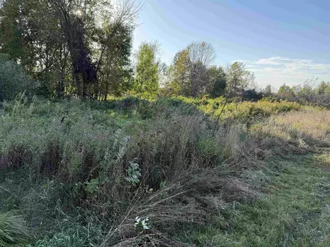 lot4 County Road Z, Aniwa, WI 54408
