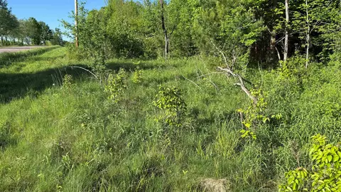 lot4 County Road Z, Aniwa, WI 54408