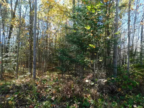 10 Acres Grundy Rd, Irma, WI 54442
