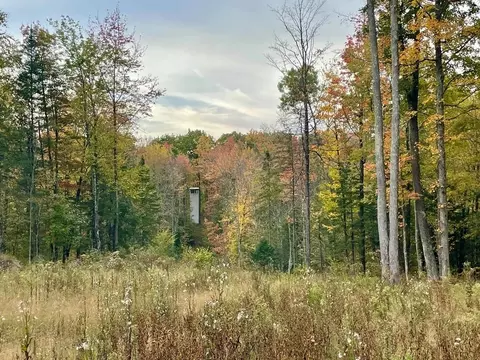 39 76 Acres County Road Z, Birnamwood, WI 54414