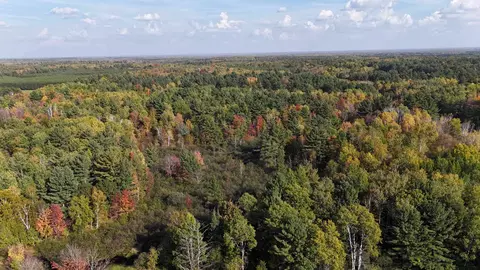Other - n9730 East Solberg Lake Road, Phillips, WI 54555 photo 1 of 11
